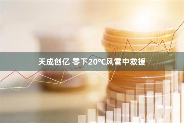 天成创亿 零下20℃风雪中救援
